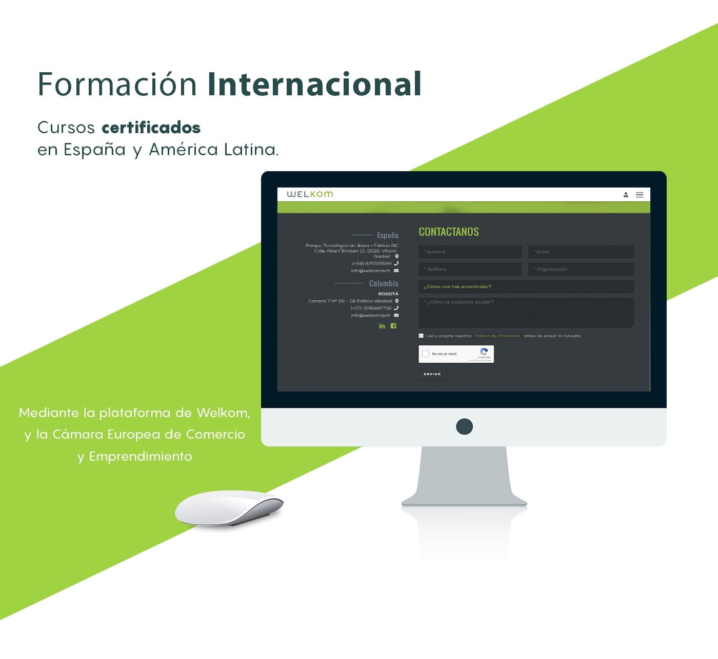 Sección de formación internacional en un monitor